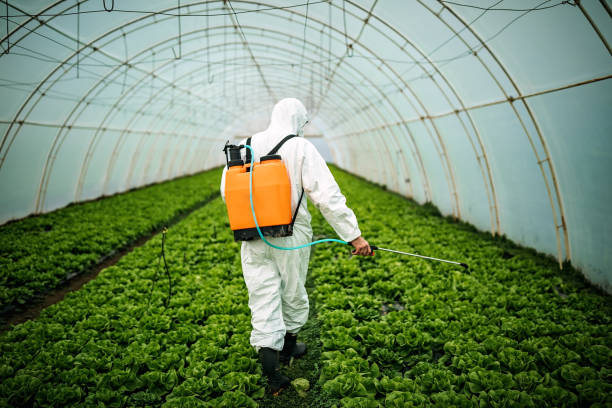 Best Pest Removal Services  in Sewell, NJ