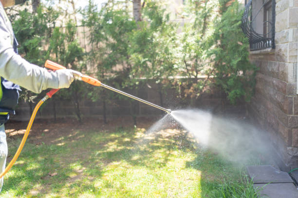 Flea Control Services in Sewell, NJ